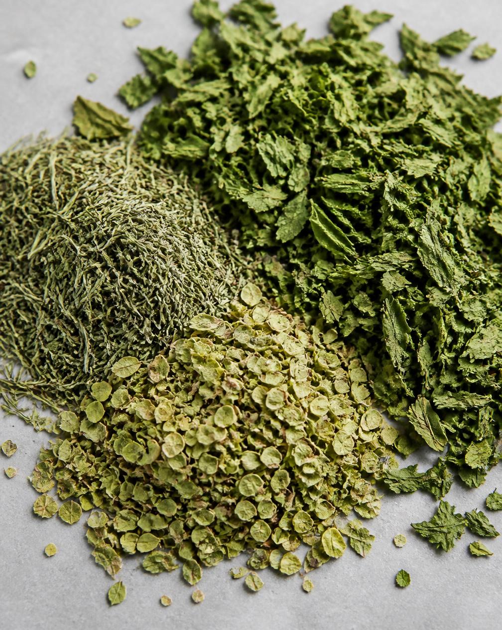 Macro photograph of dried green herbs