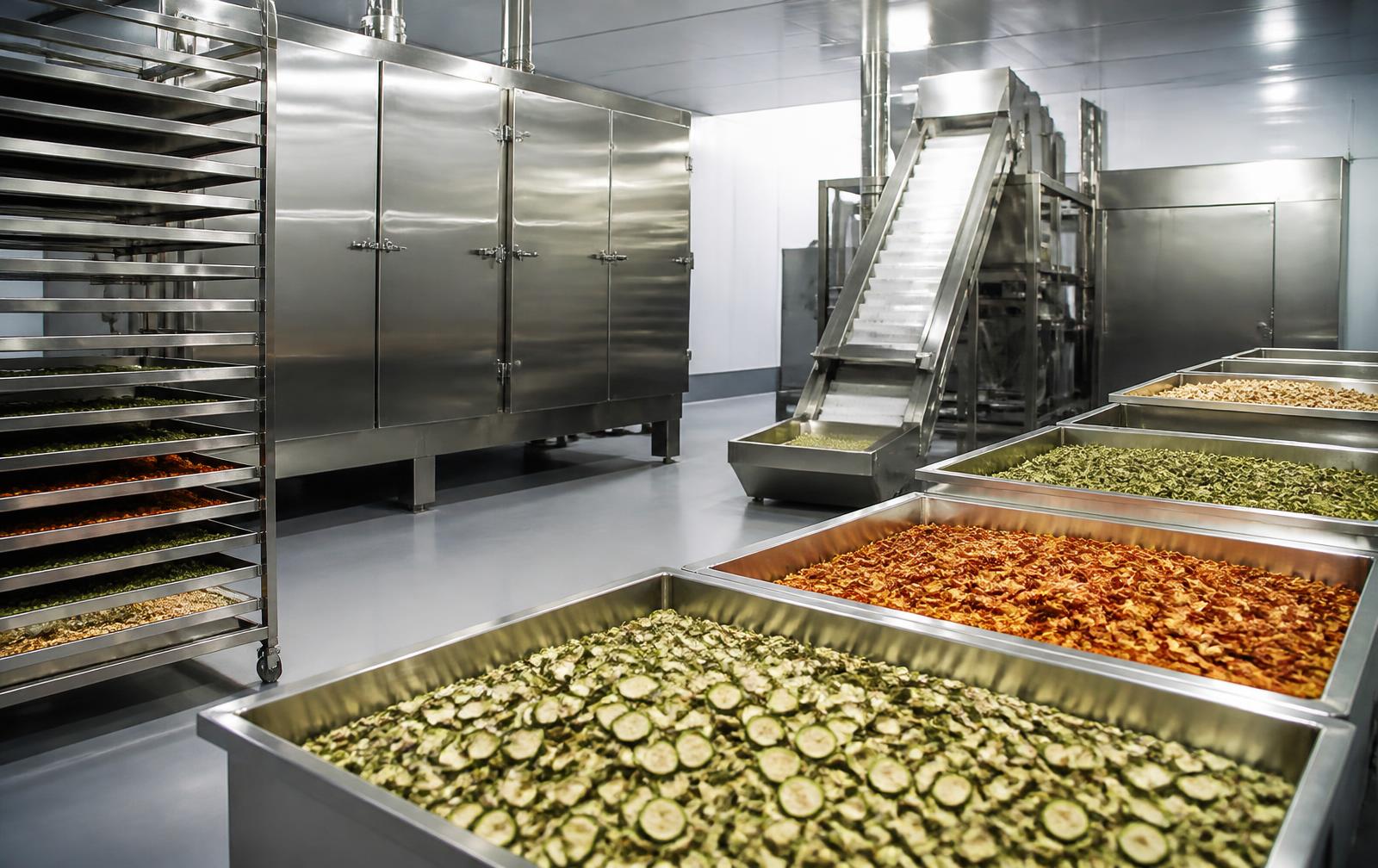 Industrial drying and sorting equipment with trays of dried vegetables